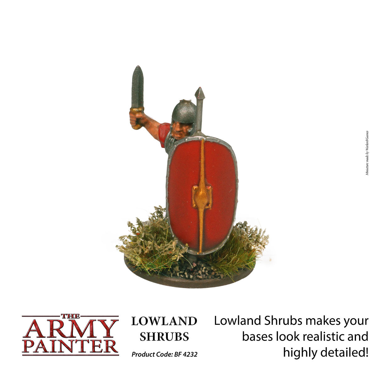 Lowland Shrubs